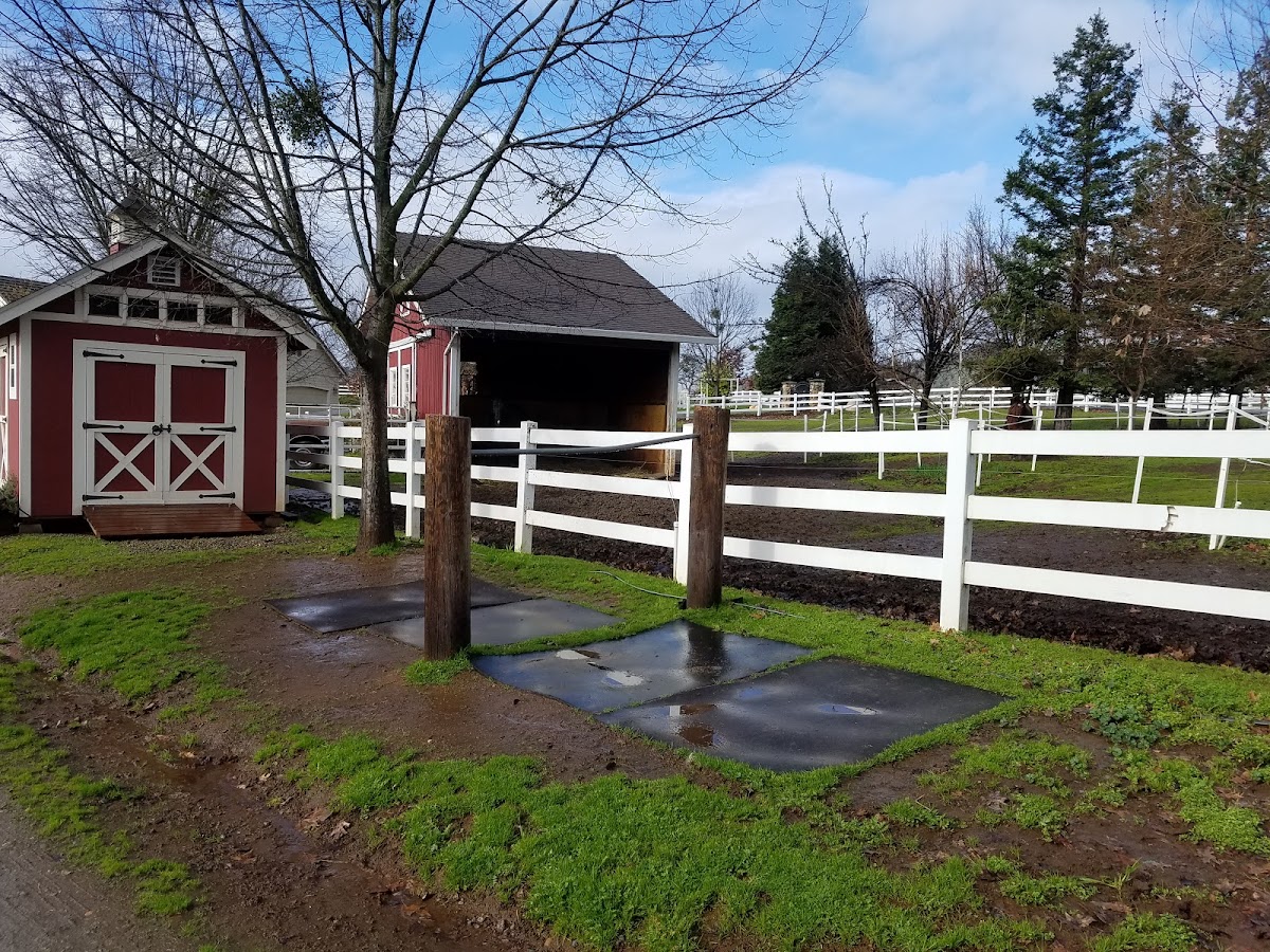 Beautiful scenery at 8 Oaks Ranch