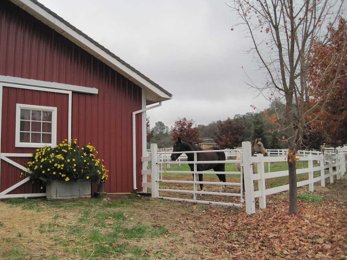 8 Oaks Ranch horse facilities